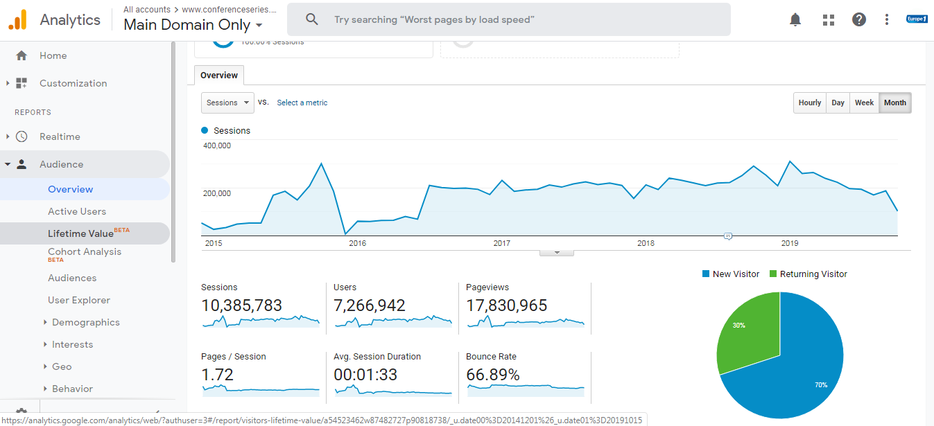 Visitor Analysis Report